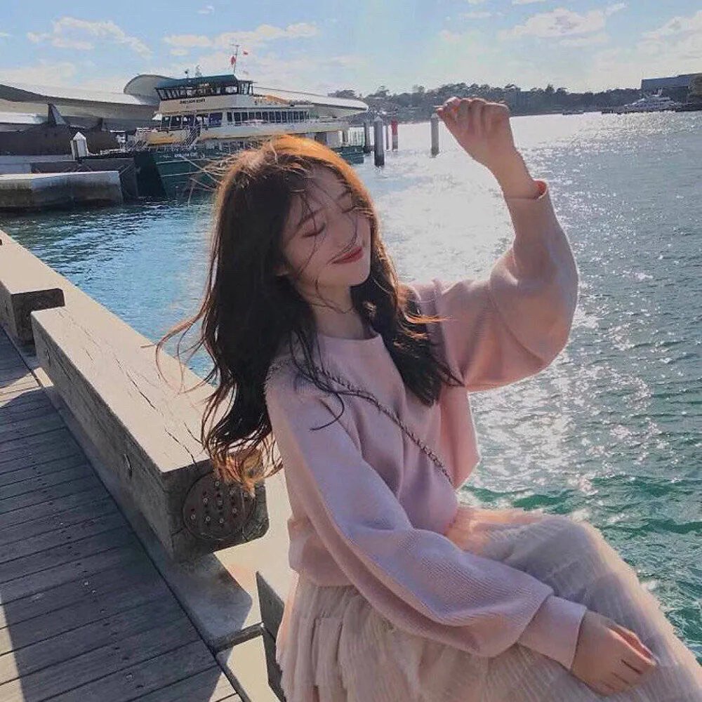 鹬